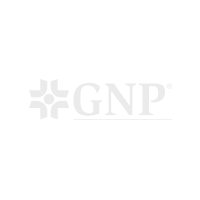 Logo GNP Seguros